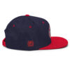 Team Wolf Snapback - Image 24